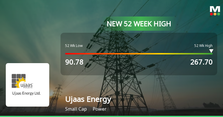 Broad-Based Technical Strength Lifts Ujaas Energy Ltd to 52-Week High of Rs 267.7