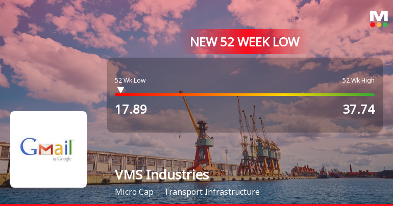 Markets Rally, But VMS Industries Ltd Sinks to 52-Week Low in Stock-Specific Sell-Off
