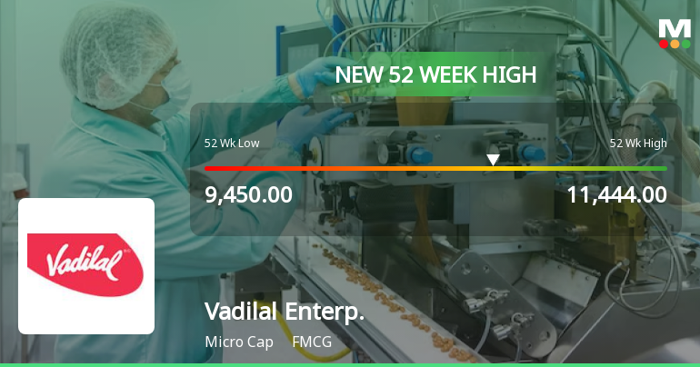 Broad-Based Technical Strength Lifts Vadilal Enterprises Ltd to 52-Week High of Rs 11444