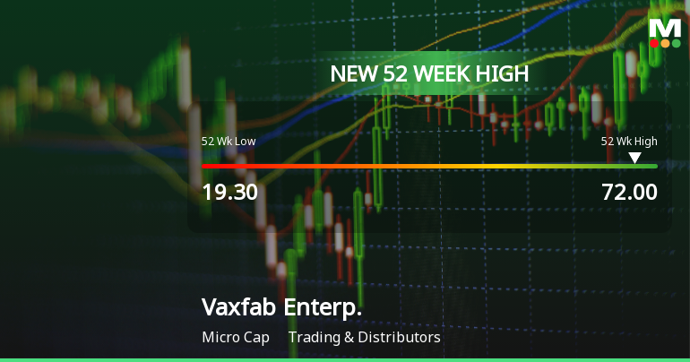 Broad-Based Technical Strength Lifts Vaxfab Enterprises Ltd to 52-Week High of Rs 72