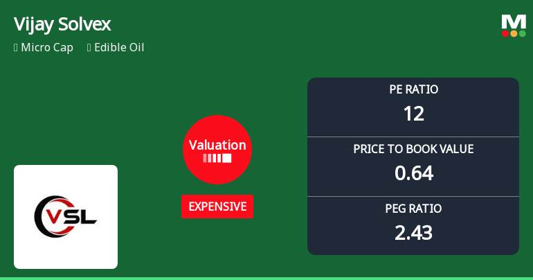Vijay Solvex Ltd Valuation Shifts Signal Changing Market Perception