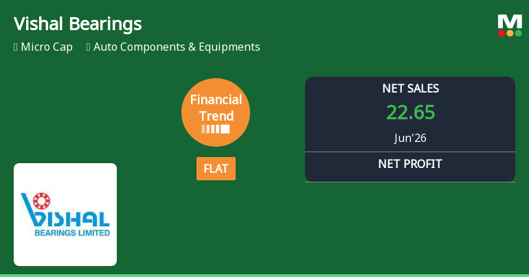 Vishal Bearings Ltd Reports Flat Quarterly Performance Amid Margin Pressures
