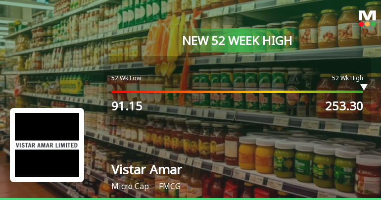 Broad-Based Technical Strength Lifts Vistar Amar Ltd to 52-Week High of Rs 253.3