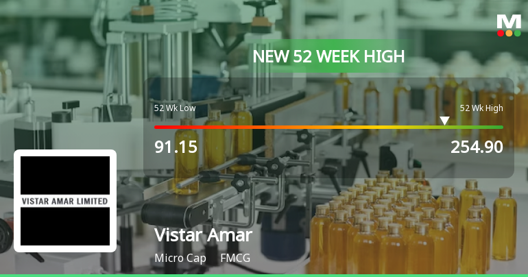 Broad-Based Technical Strength Lifts Vistar Amar Ltd to 52-Week High of Rs 254.9