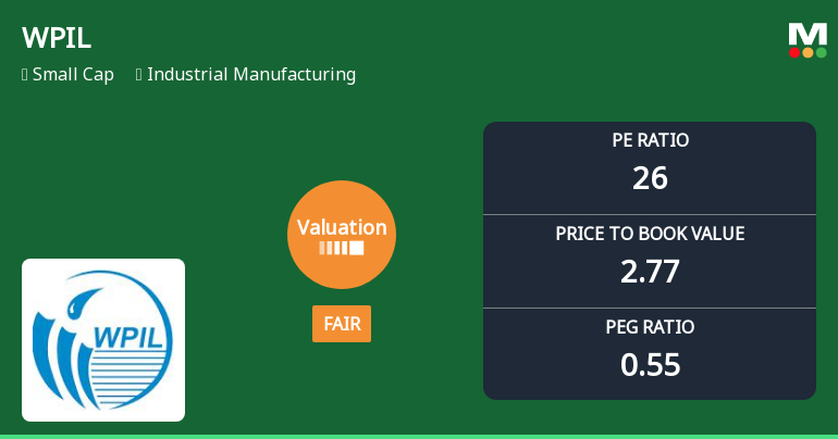 WPIL Ltd Valuation Shifts Signal Changing Market Perception