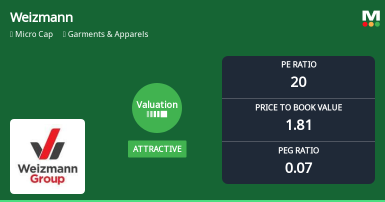 Weizmann Ltd Valuation Shifts Signal Renewed Price Attractiveness Amid Sector Challenges