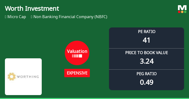 Worth Investment & Trading Company Ltd: Valuation Shifts Signal Price Attractiveness Concerns