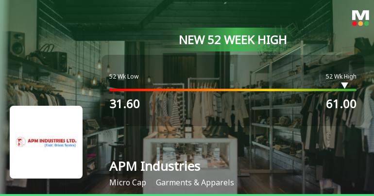 Broad-Based Technical Strength Lifts APM Industries Ltd to 52-Week High of Rs 61