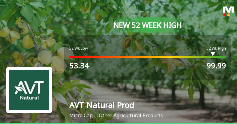 Broad-Based Technical Strength Lifts AVT Natural Products Ltd to 52-Week High of Rs 99.99