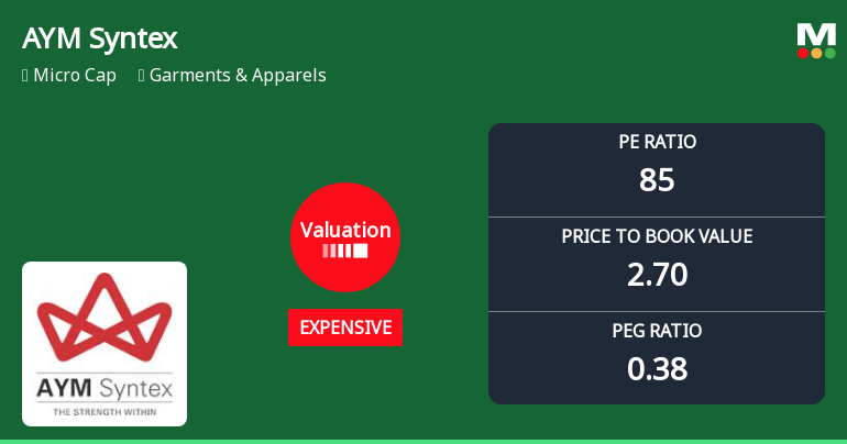 AYM Syntex Ltd Valuation Shifts Signal Changing Market Perception