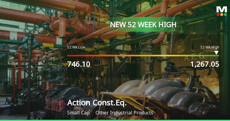 Broad-Based Technical Strength Lifts Action Construction Equipment Ltd to 52-Week High of Rs 1260
