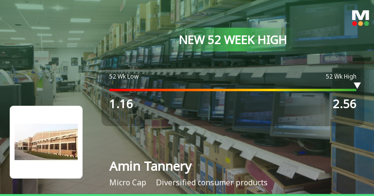 Broad-Based Technical Strength Lifts Amin Tannery Ltd to 52-Week High of Rs 2.56