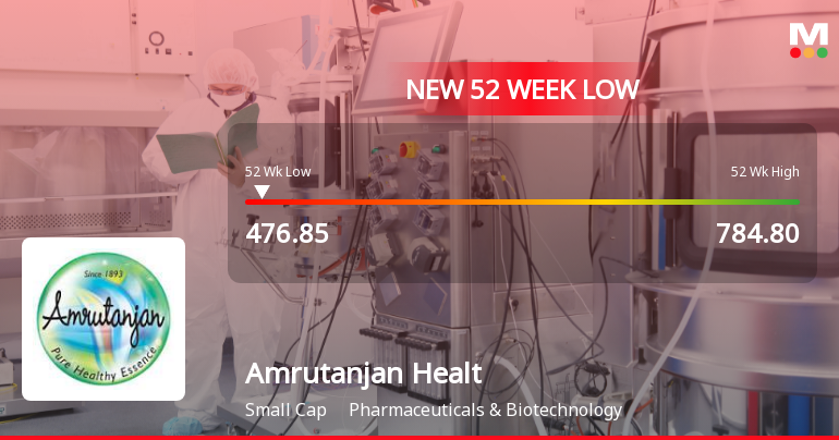 Markets Rally, But Amrutanjan Health Care Ltd Sinks to 52-Week Low in Stock-Specific Sell-Off