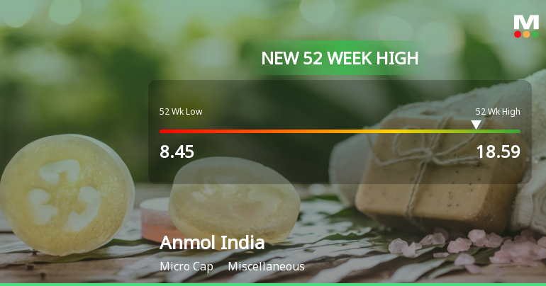 Broad-Based Technical Strength Lifts Anmol India Ltd to 52-Week High of Rs 18.59