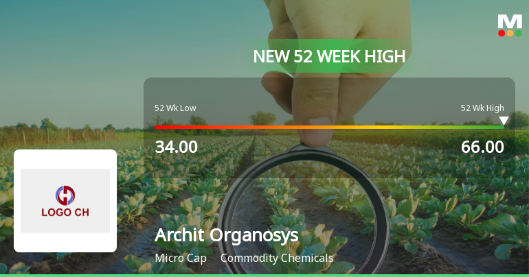 Broad-Based Technical Strength Lifts Archit Organosys Ltd to 52-Week High of Rs 66