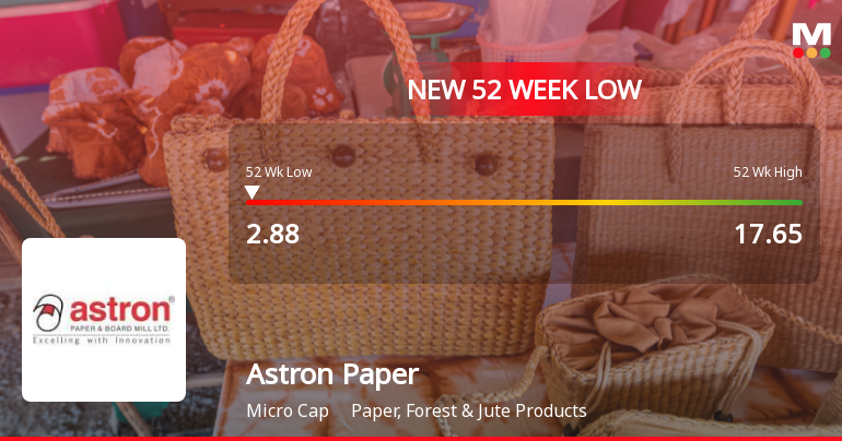 Astron Paper & Board Mill Ltd Falls to 52-Week Low of Rs 2.88 as Sell-Off Deepens