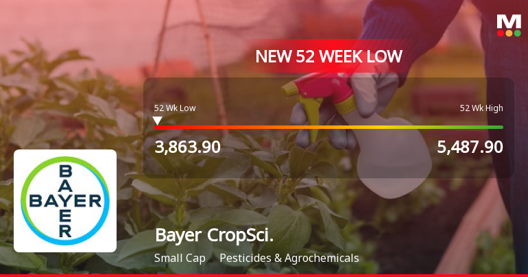 Bayer CropScience Ltd Falls to 52-Week Low of Rs 3863.9 as Sell-Off Deepens