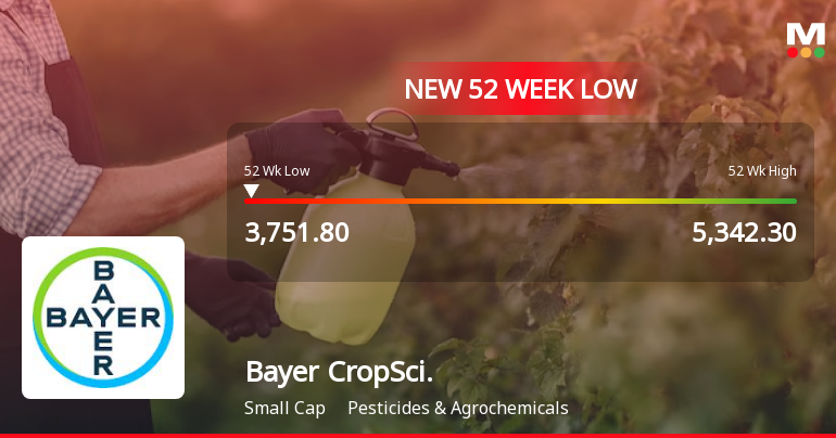 Bayer CropScience Ltd Falls to 52-Week Low of Rs 3751.8 as Sell-Off Deepens