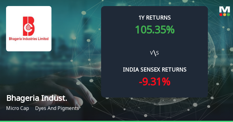100.66% Return in One Year, 50.8% Profit Growth: What Drives Bhageria Industries Ltd’s Multibagger Rally?
