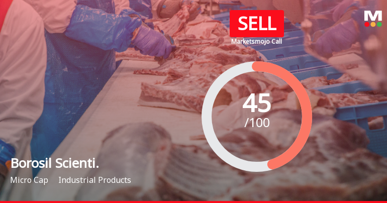 Borosil Scientific Ltd Downgraded to Sell Amidst Technical and Financial Concerns