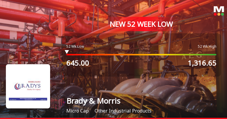 Brady & Morris Engineering Company Ltd Falls to 52-Week Low of Rs 645 as Sell-Off Deepens