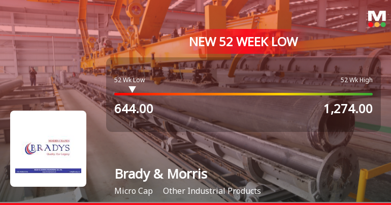 Markets Rally, But Brady & Morris Engineering Company Ltd Sinks to 52-Week Low in Stock-Specific Sell-Off