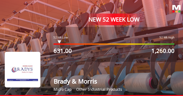 Markets Rally, But Brady & Morris Engineering Company Ltd Sinks to 52-Week Low in Stock-Specific Sell-Off