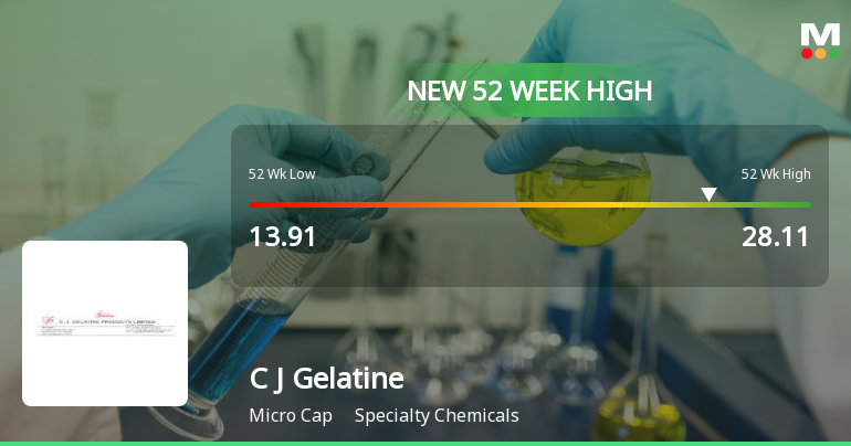 Broad-Based Technical Strength Lifts C J Gelatine Products Ltd to 52-Week High of Rs 28.11