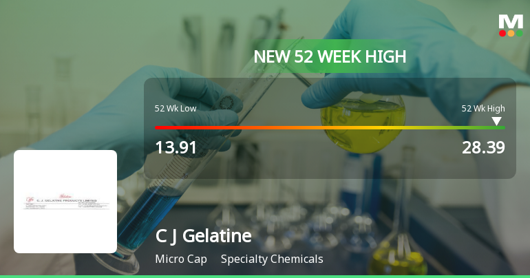 Broad-Based Technical Strength Lifts C J Gelatine Products Ltd to 52-Week High of Rs 28.39