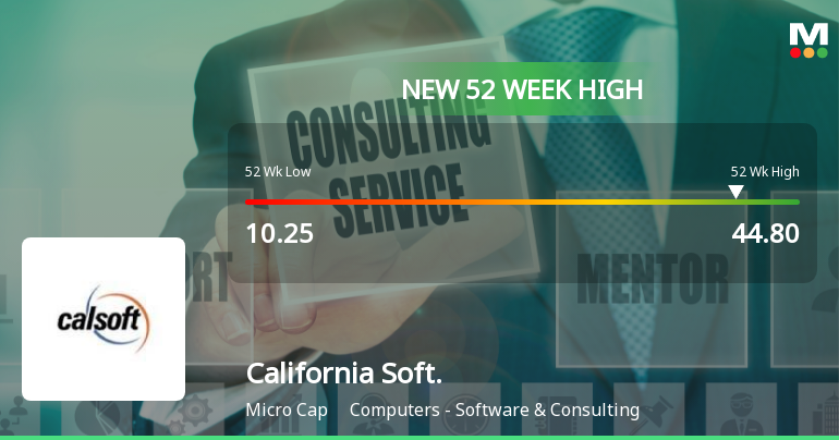 Broad-Based Technical Strength Lifts California Software Company Ltd to 52-Week High of Rs 44.8