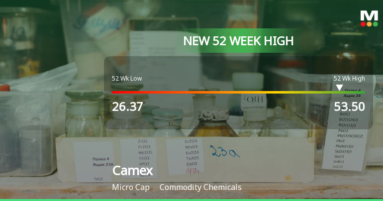 Broad-Based Technical Strength Lifts Camex Ltd to 52-Week High of Rs 53.5