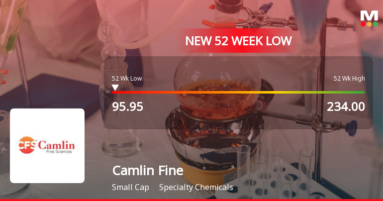 Camlin Fine Sciences Ltd Falls to 52-Week Low of Rs 95.95 as Sell-Off Deepens