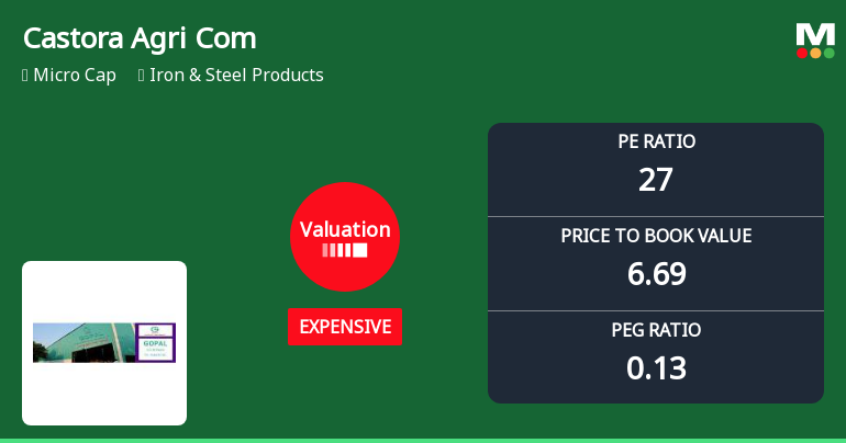 Castora Agri Commodities Ltd Valuation Shifts Signal Price Attractiveness Change