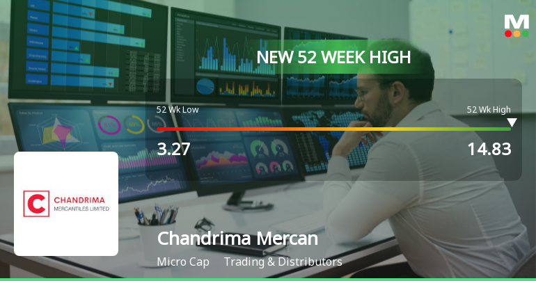 Broad-Based Technical Strength Lifts Chandrima Mercantiles Ltd to 52-Week High of Rs 14.83
