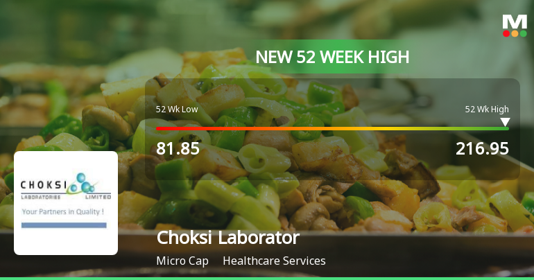 Broad-Based Technical Strength Lifts Choksi Laboratories Ltd to 52-Week High of Rs 216.95