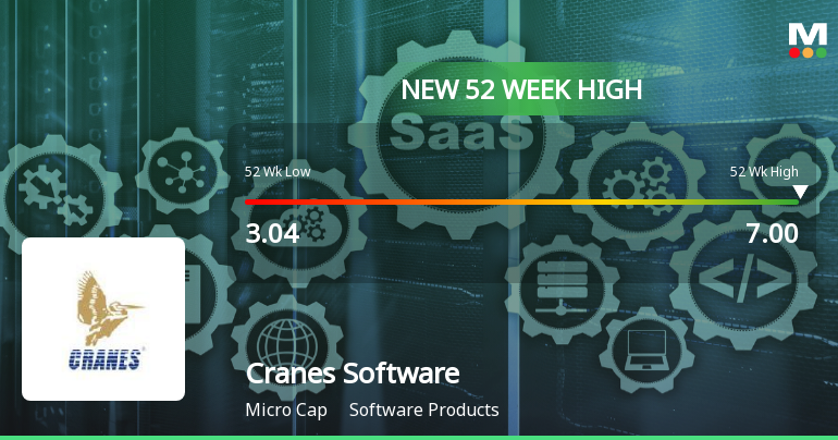 Broad-Based Technical Strength Lifts Cranes Software International Ltd to 52-Week High of Rs 7