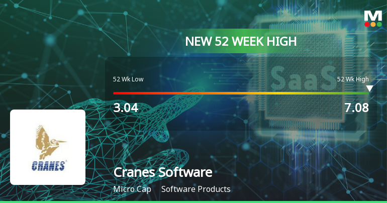 Broad-Based Technical Strength Lifts Cranes Software International Ltd to 52-Week High of Rs 7.08