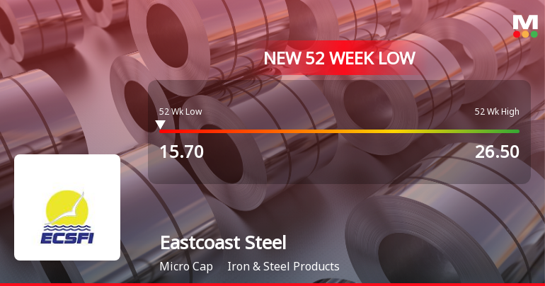 Eastcoast Steel Ltd Falls to 52-Week Low of Rs 15.7 as Sell-Off Deepens