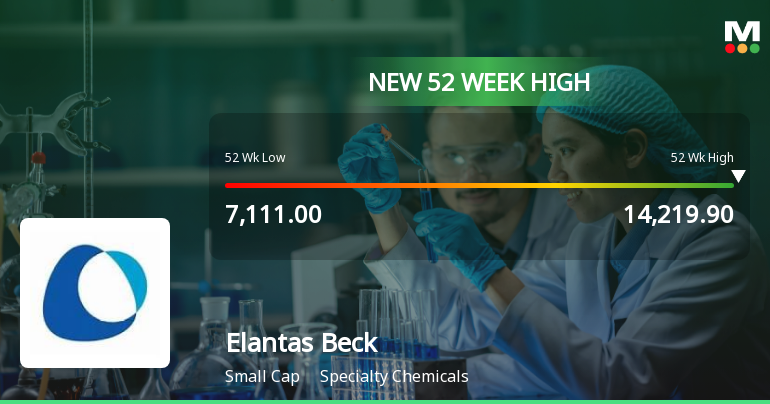 Broad-Based Technical Strength Lifts Elantas Beck India Ltd to 52-Week High of Rs 14219.9