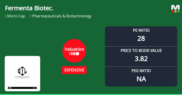 Fermenta Biotech Ltd Valuation Shifts Signal Price Attractiveness Challenges