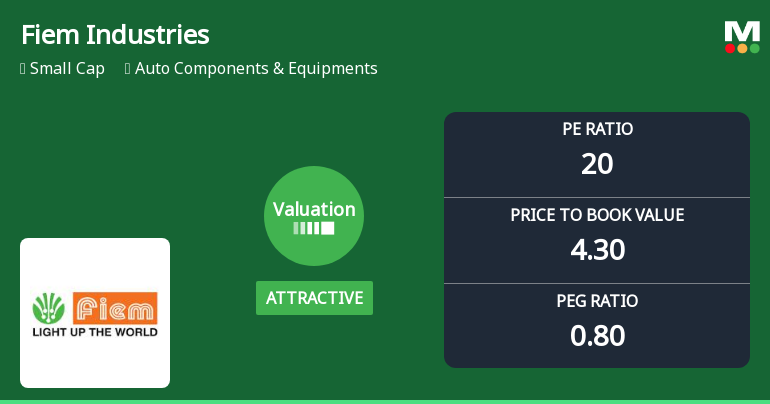 Fiem Industries Ltd Valuation Shifts Signal Renewed Price Attractiveness Amid Sector Challenges