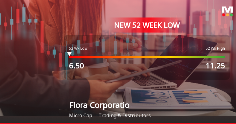 Flora Corporation Ltd Falls to 52-Week Low of Rs 6.5 as Sell-Off Deepens
