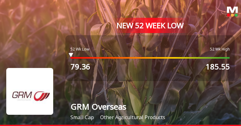 Markets Rally, But GRM Overseas Ltd Sinks to 52-Week Low in Stock-Specific Sell-Off