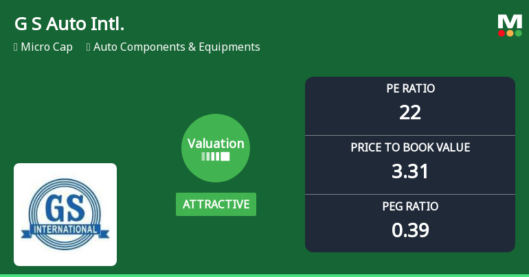 G S Auto International Ltd Valuation Shifts Signal Changing Market Sentiment