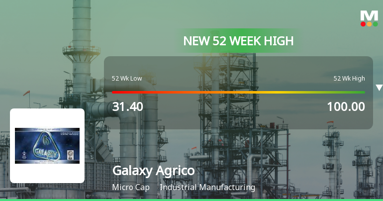 Broad-Based Technical Strength Lifts Galaxy Agrico Exports Ltd to 52-Week High of Rs 94.7