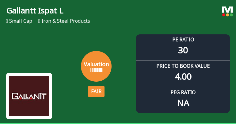 Gallantt Ispat Ltd. Valuation Shifts Signal Renewed Price Attractiveness Amid Sector Volatility