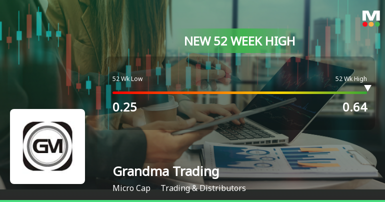 Broad-Based Technical Strength Lifts Grandma Trading & Agencies Ltd to 52-Week High of Rs 0.64