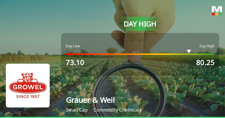 Grauer & Weil (India) Ltd Surges 8.4% to Day's High of Rs 78.57 — Outperforms Sector by 5.82 Percentage Points