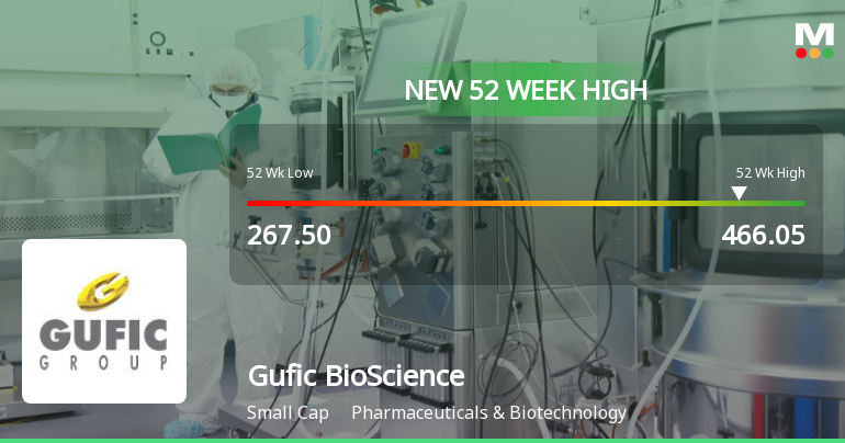 Broad-Based Technical Strength Lifts Gufic BioSciences Ltd to 52-Week High of Rs 466.05