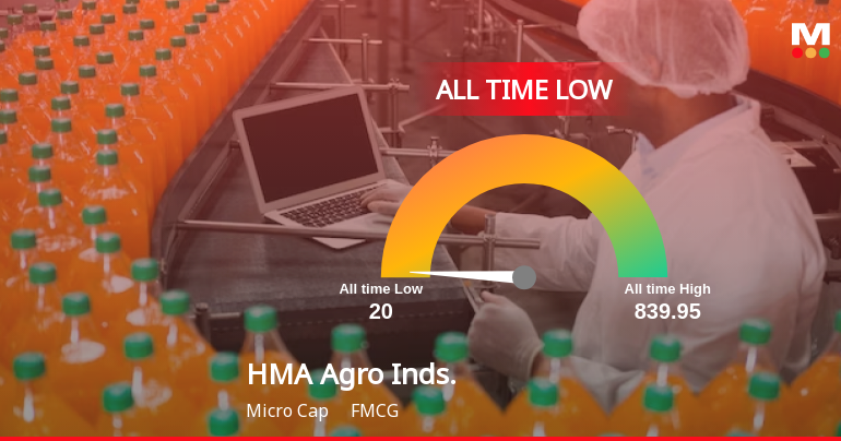 Markets Rise, But HMA Agro Industries Ltd Slides to All-Time Low Amid Stock-Specific Sell-Off